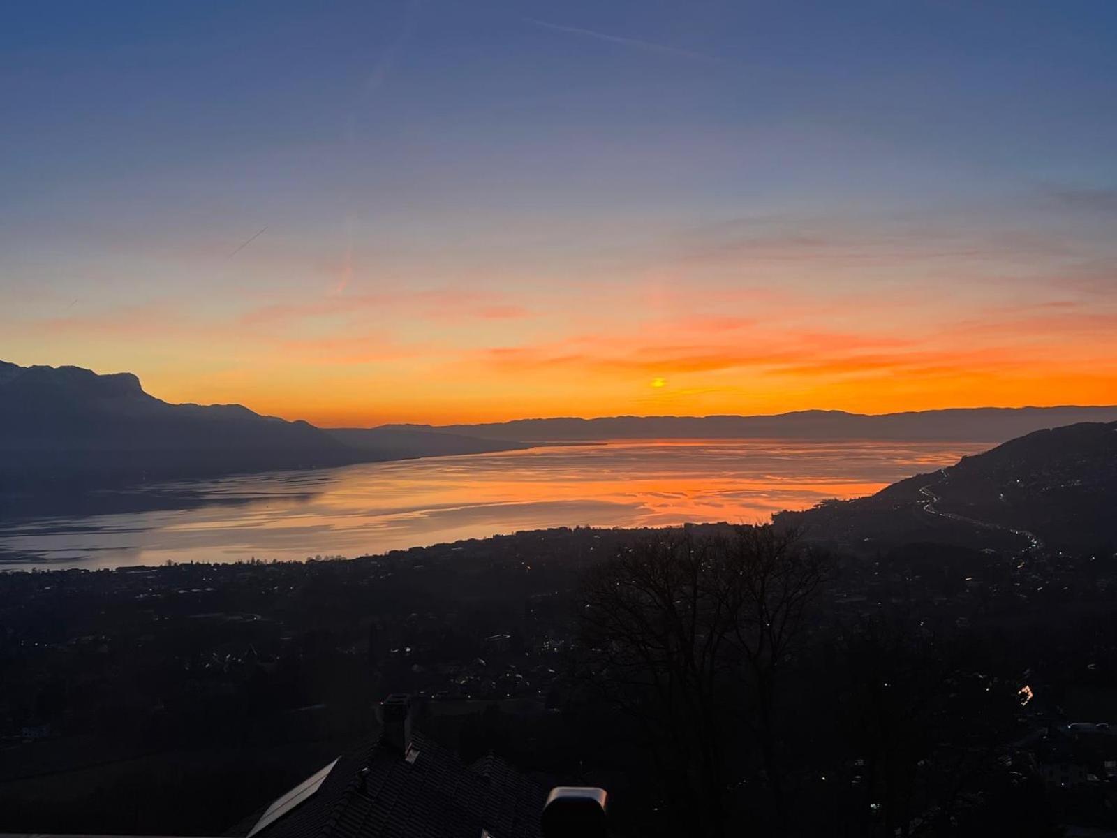 Swiss Chalet - Mountain And Lake View 布洛奈 外观 照片